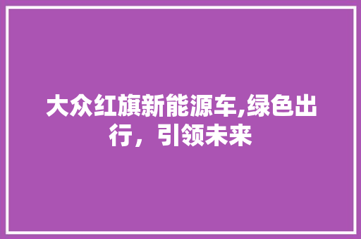 大众红旗新能源车,绿色出行，引领未来