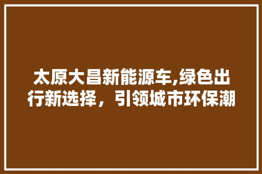 太原大昌新能源车,绿色出行新选择，引领城市环保潮流  第1张