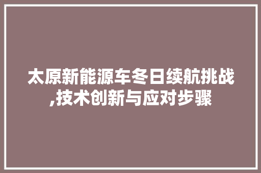 太原新能源车冬日续航挑战,技术创新与应对步骤