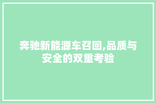 奔驰新能源车召回,品质与安全的双重考验  第1张