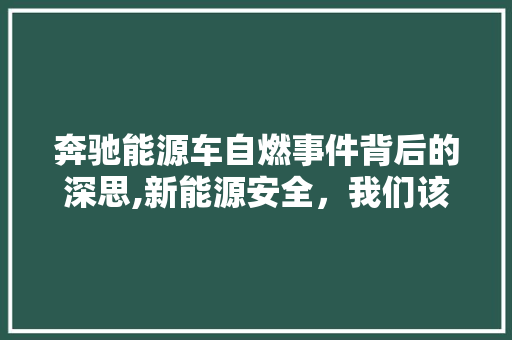 奔驰能源车自燃事件背后的深思,新能源安全，我们该如何守护