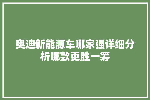 奥迪新能源车哪家强详细分析哪款更胜一筹