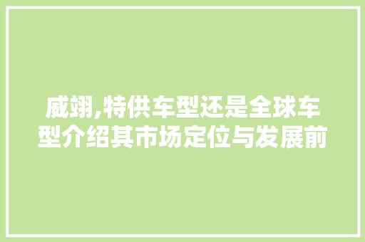 威翊,特供车型还是全球车型介绍其市场定位与发展前景