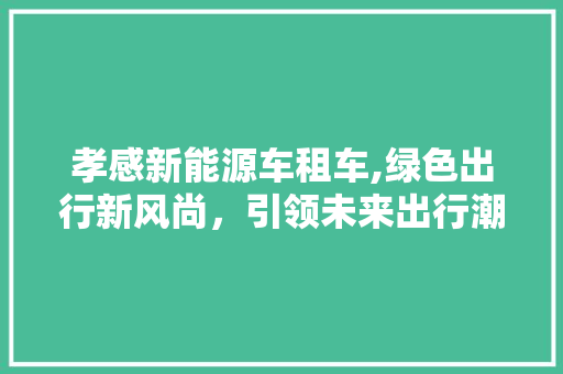 孝感新能源车租车,绿色出行新风尚，引领未来出行潮流