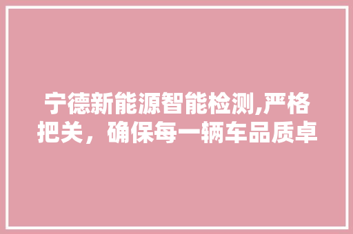 宁德新能源智能检测,严格把关，确保每一辆车品质卓越