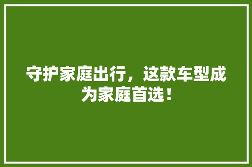 守护家庭出行，这款车型成为家庭首选！