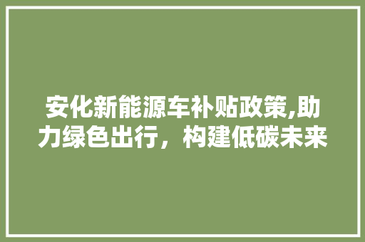 安化新能源车补贴政策,助力绿色出行，构建低碳未来