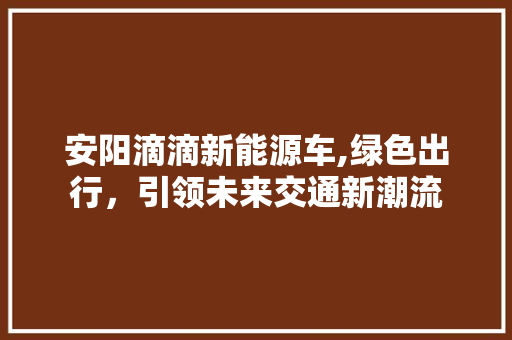 安阳滴滴新能源车,绿色出行，引领未来交通新潮流