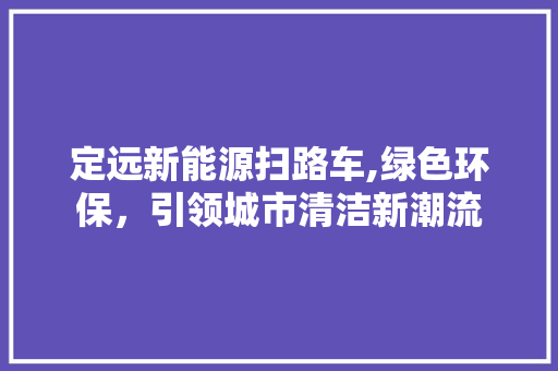 定远新能源扫路车,绿色环保，引领城市清洁新潮流