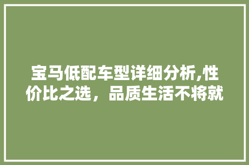 宝马低配车型详细分析,性价比之选，品质生活不将就  第1张