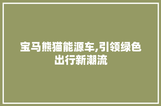 宝马熊猫能源车,引领绿色出行新潮流