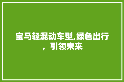 宝马轻混动车型,绿色出行，引领未来  第1张