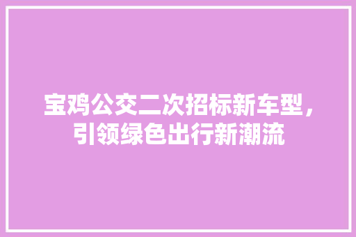 宝鸡公交二次招标新车型，引领绿色出行新潮流  第1张