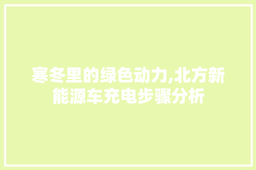 寒冬里的绿色动力,北方新能源车充电步骤分析