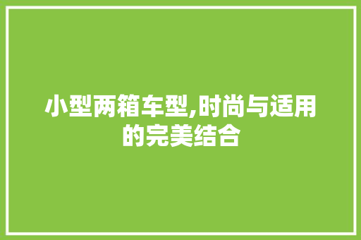 小型两箱车型,时尚与适用的完美结合