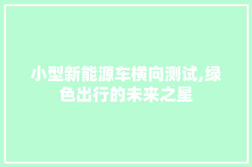 小型新能源车横向测试,绿色出行的未来之星  第1张