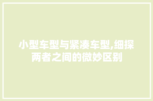 小型车型与紧凑车型,细探两者之间的微妙区别  第1张