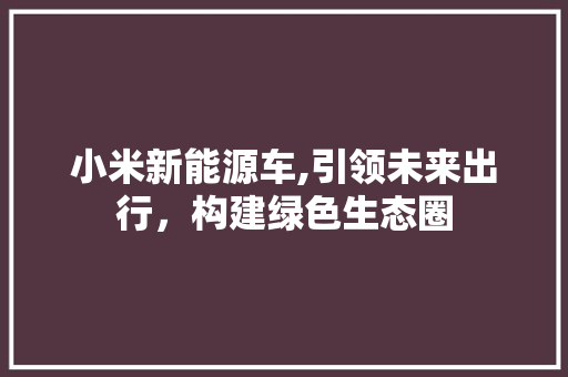 小米新能源车,引领未来出行，构建绿色生态圈