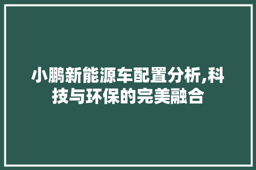 小鹏新能源车配置分析,科技与环保的完美融合  第1张