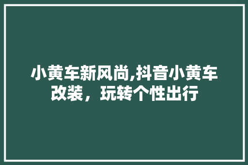 小黄车新风尚,抖音小黄车改装，玩转个性出行