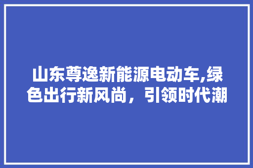 山东尊逸新能源电动车,绿色出行新风尚，引领时代潮流  第1张