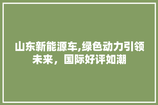 山东新能源车,绿色动力引领未来，国际好评如潮