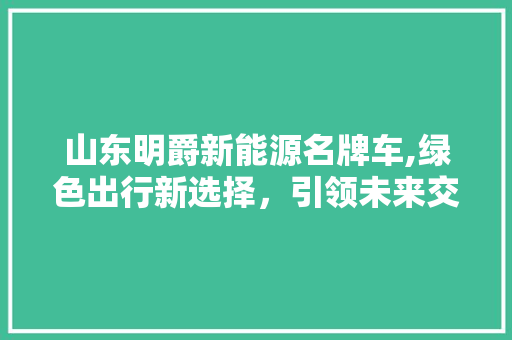 山东明爵新能源名牌车,绿色出行新选择，引领未来交通潮流  第1张