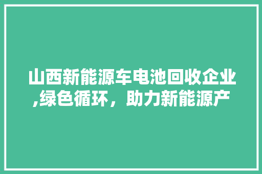 山西新能源车电池回收企业,绿色循环，助力新能源产业可持续发展  第1张