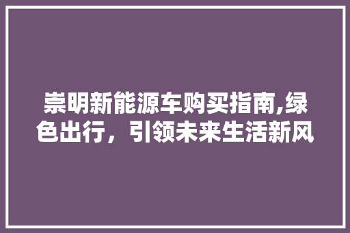 崇明新能源车购买指南,绿色出行，引领未来生活新风尚