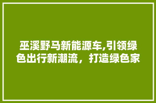 巫溪野马新能源车,引领绿色出行新潮流，打造绿色家园新名片