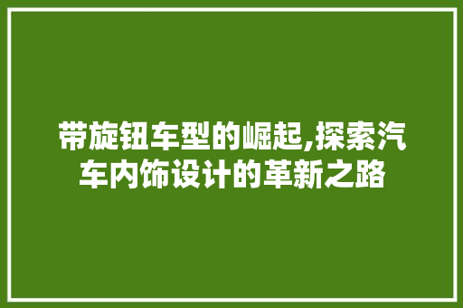 带旋钮车型的崛起,探索汽车内饰设计的革新之路