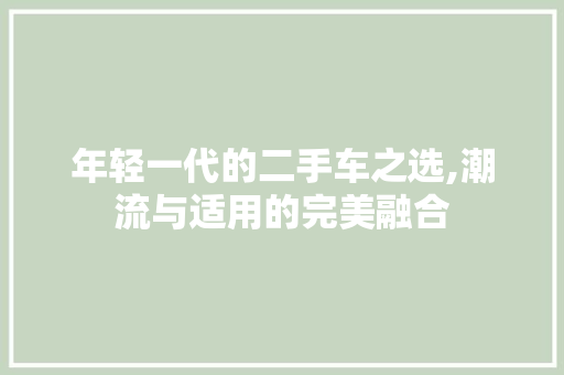 年轻一代的二手车之选,潮流与适用的完美融合