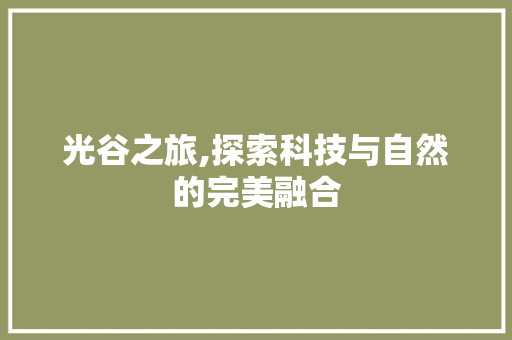 光谷之旅,探索科技与自然的完美融合