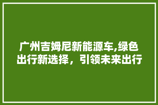 广州吉姆尼新能源车,绿色出行新选择，引领未来出行潮流