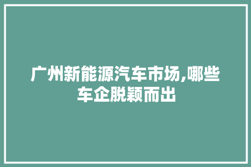 广州新能源汽车市场,哪些车企脱颖而出  第1张