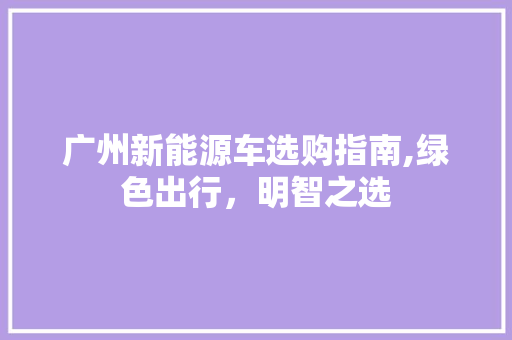 广州新能源车选购指南,绿色出行，明智之选  第1张