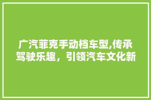 广汽菲克手动档车型,传承驾驶乐趣，引领汽车文化新风尚