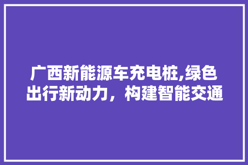 广西新能源车充电桩,绿色出行新动力，构建智能交通蓝图