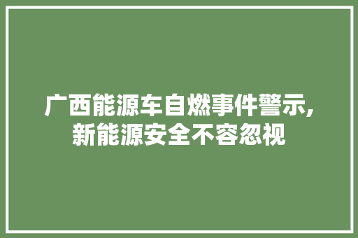 广西能源车自燃事件警示,新能源安全不容忽视  第1张