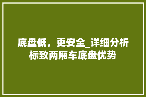 底盘低，更安全_详细分析标致两厢车底盘优势