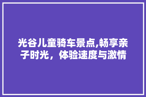 光谷儿童骑车景点,畅享亲子时光，体验速度与激情