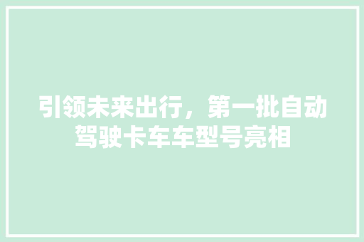 引领未来出行，第一批自动驾驶卡车车型号亮相  第1张