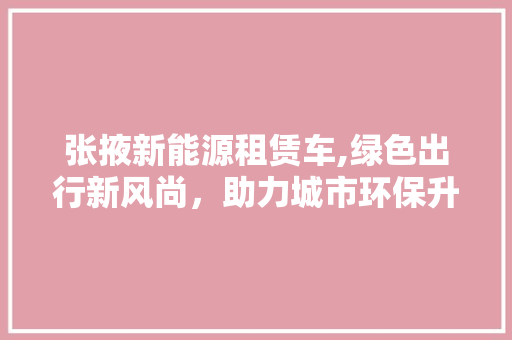 张掖新能源租赁车,绿色出行新风尚，助力城市环保升级