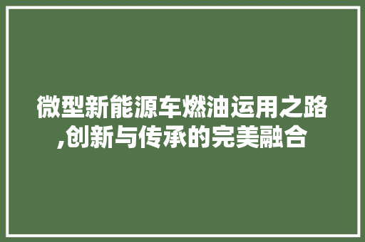 微型新能源车燃油运用之路,创新与传承的完美融合  第1张