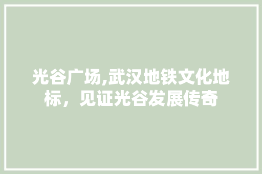 光谷广场,武汉地铁文化地标，见证光谷发展传奇