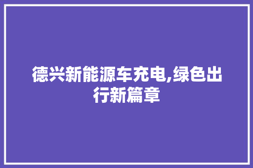 德兴新能源车充电,绿色出行新篇章