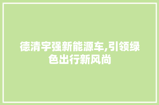 德清宇强新能源车,引领绿色出行新风尚