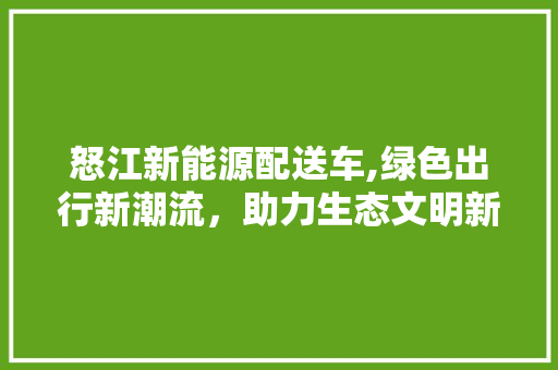 怒江新能源配送车,绿色出行新潮流，助力生态文明新时代