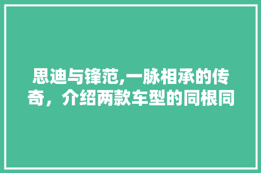 思迪与锋范,一脉相承的传奇，介绍两款车型的同根同源