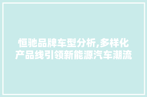 恒驰品牌车型分析,多样化产品线引领新能源汽车潮流  第1张